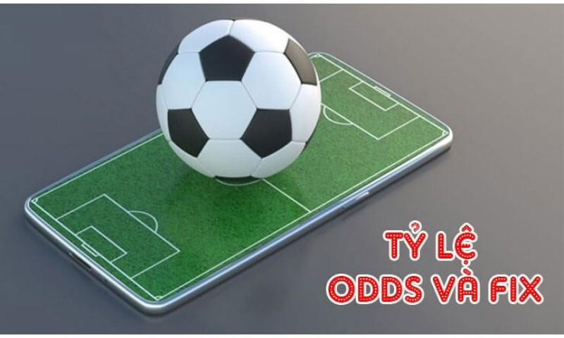Cach Xem Odds Nha Cai 1