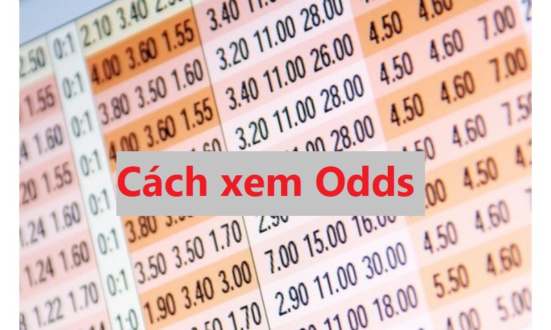 Cach Xem Odds Nha Cai 3