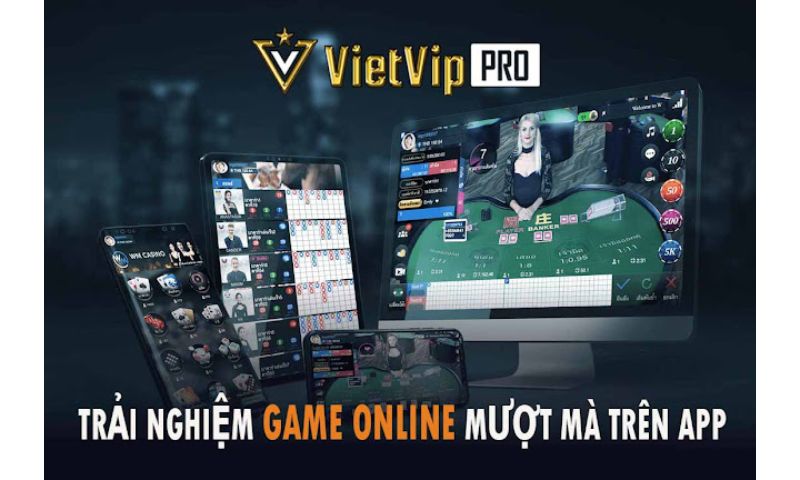 đại Lý Vietvip 2