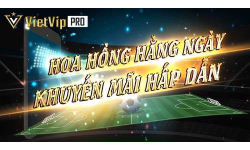 Hoa Hong Dai Ly Vietvip 2