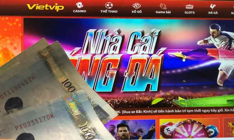 Vietvip Đài Loan Nhà cái đẳng cấp top 1 hiện nay