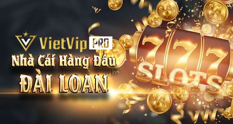 Vietvip Dai Loan 1